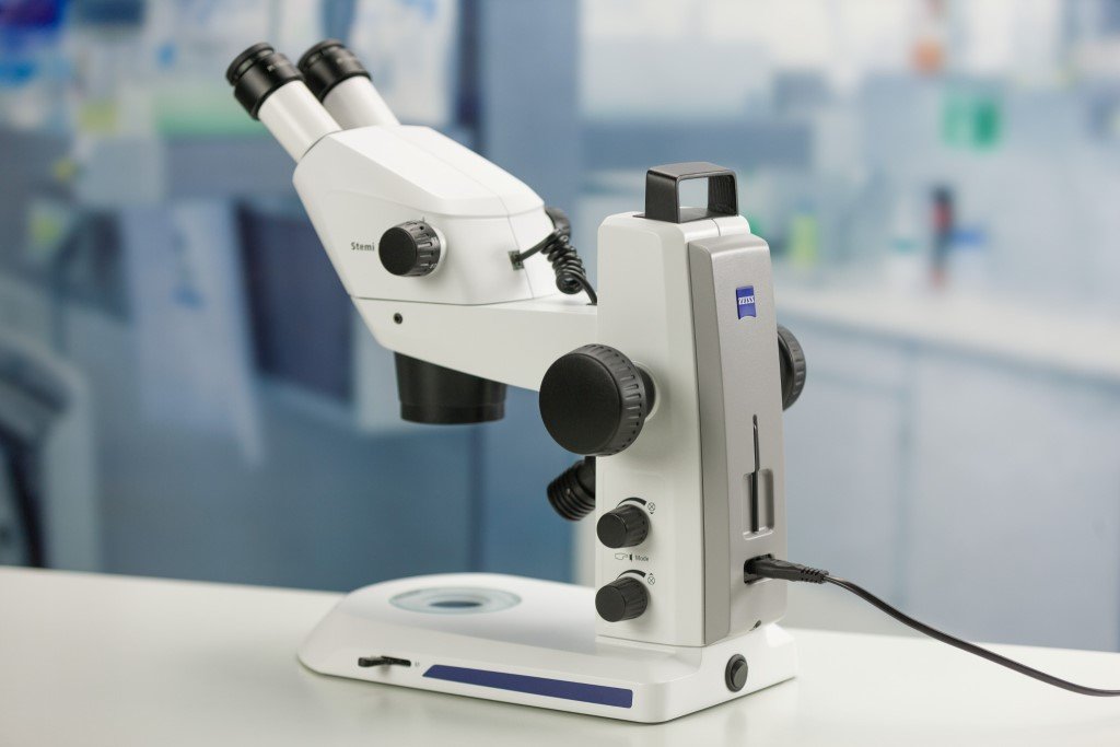 ZEISS Stemi 305 microscope view