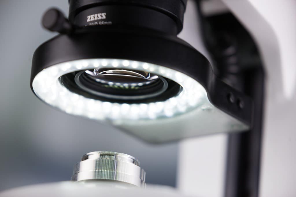 ZEISS Stemi 305 detail view